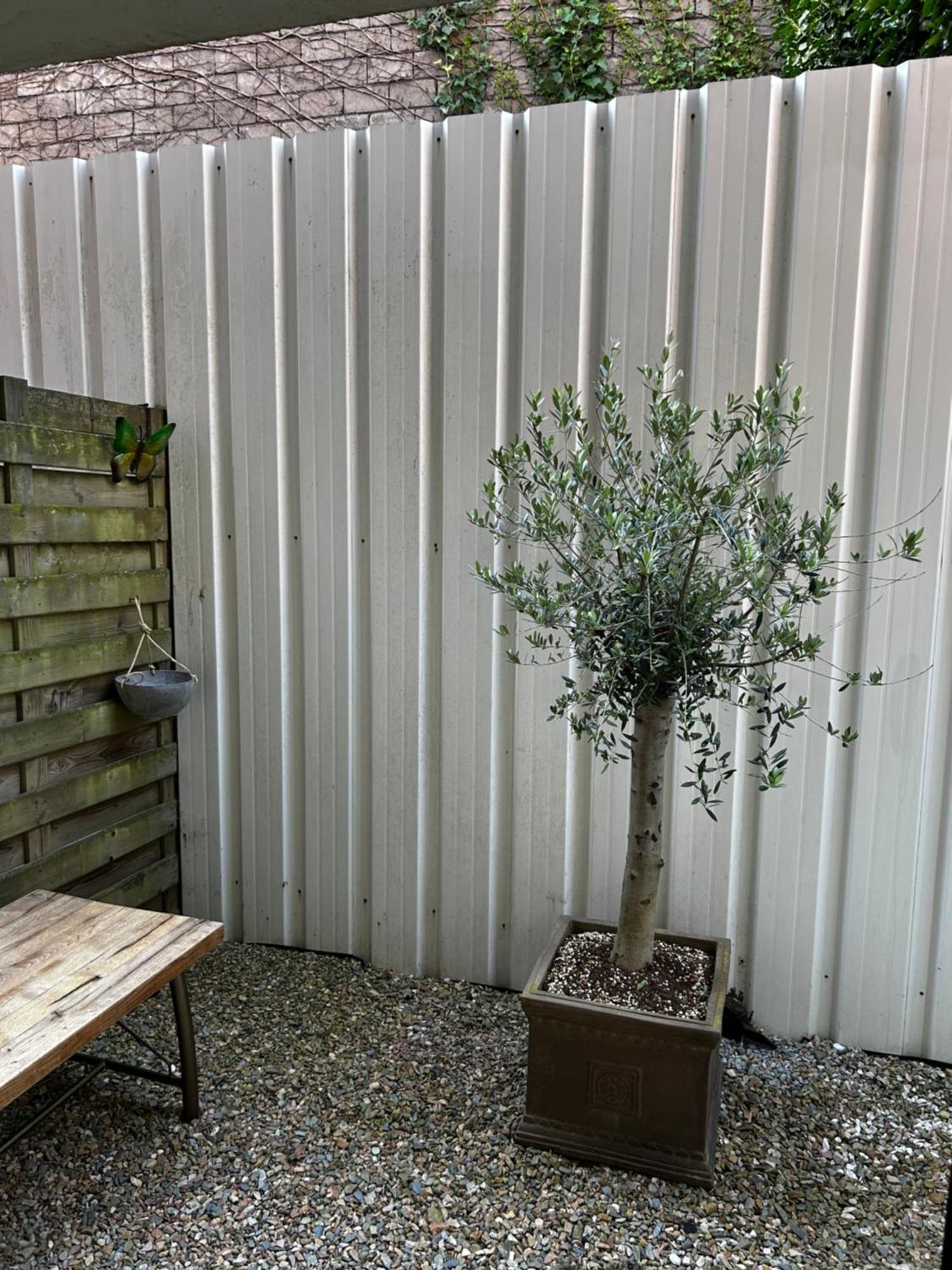 Residentie Papillon Appartement